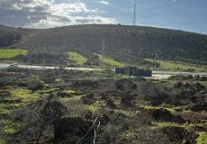 الاحتلال يقتلع أشجار زيتون غرب الخليل