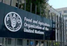 منظمة الأغذية والزراعة التابعة للأمم ​المتحدة (فاو)