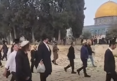 حماس تحذر من "حرب دينية" إثر اقتحامات المستوطنين للمسجد الأقصى