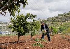 وكالة بيت مال القدس تختتم مشروع "صمود" الزراعي في قرى محافظة القدس