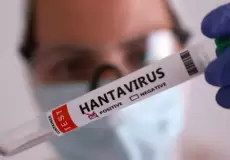 فيروس هانتا