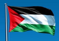 علم فلسطين - تعبيرية