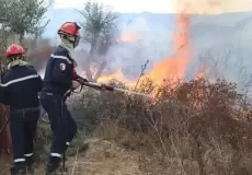 حرائق الجزائر