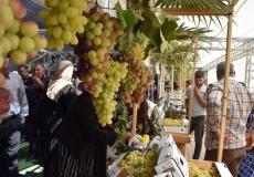 افتتاح مهرجان أيام العنب الخليلي