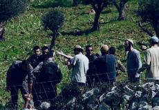 مستوطنون يسرقون الزيتون من أرضي المواطنين بالضفة