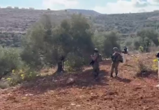 مستوطنون يهاجمون المزارعين في بيتا جنوب نابلس 