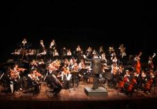 صورة توضيحية