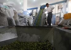 عصر الزيتون 