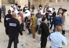 مستوطنون داخل باحات المسجد الأقصى