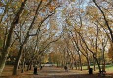 ضغط الوقت عادة ما يؤدي لتجاهل فوائد التعلم في الهواء الطلق