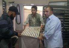 اتلفت وزارة الزراعة بغزة نحو (17000) بيضة لعدم مطابقتها للمواصفات