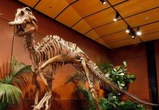  الديناصورات