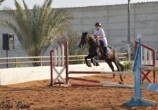 بطولة قفز الحواجز