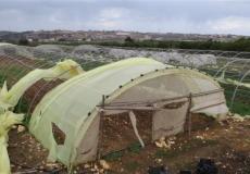 خسائر المزارعين - ارشيف