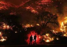 حرائق كاليفورنيا أسفرت عن خسائر هائلة في الولاية