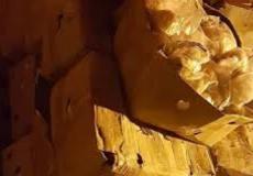 ضبط نصف طن جميد فاسد في الخليل