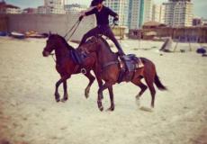 اتحاد الفروسية