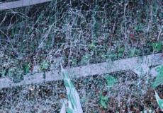 جماهير الأهلي في ليلة التتويج