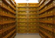 ارتفع الذهب في تداولات ضيقة النطاق