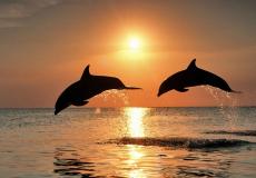 شرح قصيدة المساء للشاعر خليل مطران