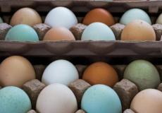 البيض لتعويض النقص الحاد في كوريا الجنوبية