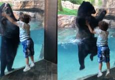 صورة من مقطع الفيديو