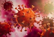 باحثون: فيروس كورونا تحوّر وقد يصبح أكثر عدوى