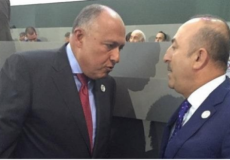 وزير الخارجية المصري سامح شكري ونظيره التركي