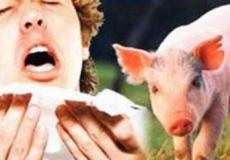 انفلونزا الخنازير
