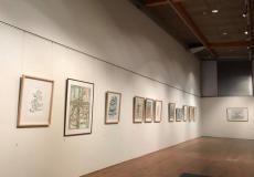 جانب من المعرض