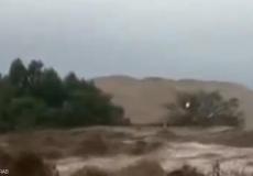 سيول في بيرو