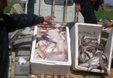 جانب من المضبوطات