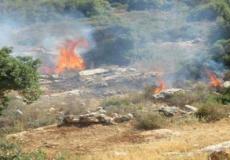 مستوطنون يضرمون النار في أراضي مادما 