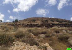 أراضٍ في بيت تعمر شرق بيت لحم 