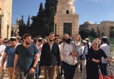 مستوطنون يقتحمون المسجد الأقصى - أرشيفية