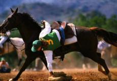 فرسان فلسطينيون