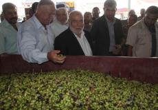 افتتاح موسم قطف الزيتون في منطقة جحر الديك وتشغيل معاصر الزيتون