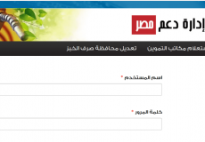 دعم مصر