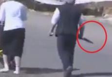 مستوطنة تحمل سكيناً في شوارع الخليل