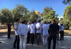 170 مستوطنا يقتحمون المسجد الأقصى
