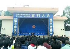 طلاب مدارس حضروا إلى جلسة الحكم