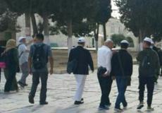 مستوطنون يُجدّدون اقتحاماتهم للمسجد الأقصى بحراسات مشددة