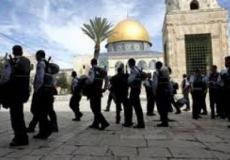 مستوطنون / ارشيفية