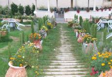 متنزه في جنين -ارشيف-