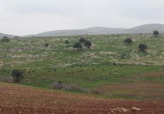 الاحتلال يواصل تسييج مساحات واسعة من اراضي الاغوار