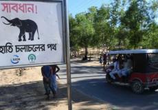لافتة تحذر من الأفيال البرية بالقرب من مركز لإيواء الروهينغا