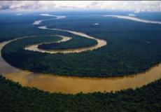 غابات الامازون