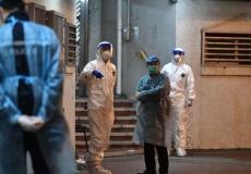 فيروس كورونا - أرشيفية -