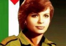 دلال المغربي