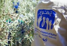الكلية الجامعية للعلوم التطبيقية 